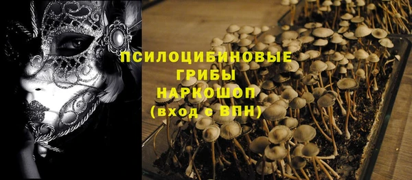 спайс Медвежьегорск