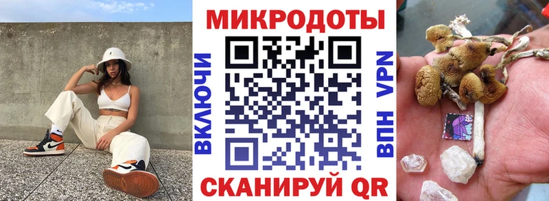 Псилоцибиновые грибы Cubensis  что такое   Сычёвка 